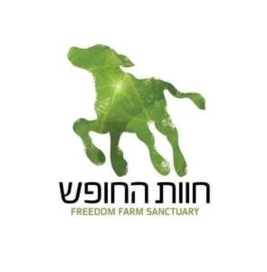 שותפים 5